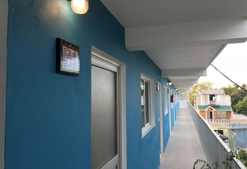 酒店 Blue Coconut Cancun