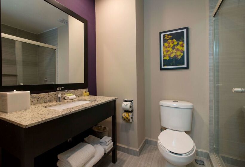 Chn Hotel Monterrey Aeropuerto, Trademark By Wyndham