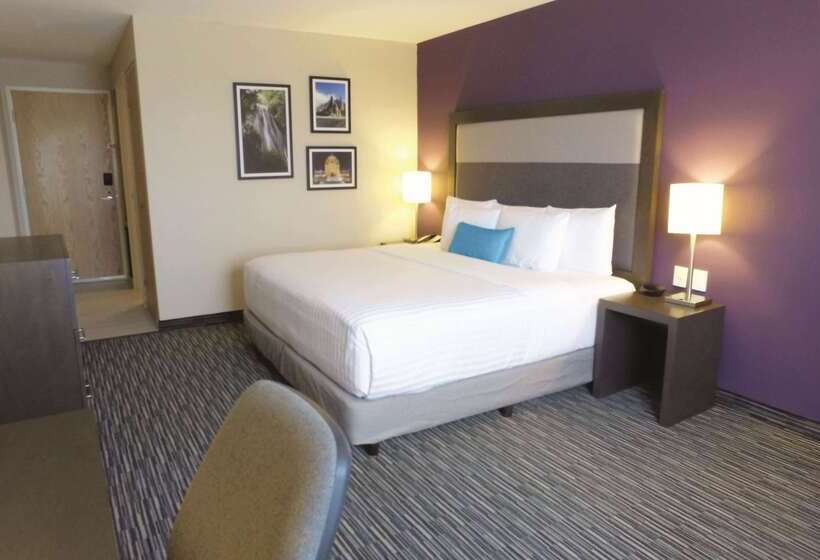 Chn Hotel Monterrey Aeropuerto, Trademark By Wyndham