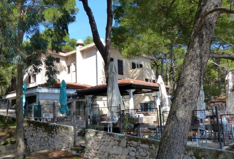 Отель Diana B&b