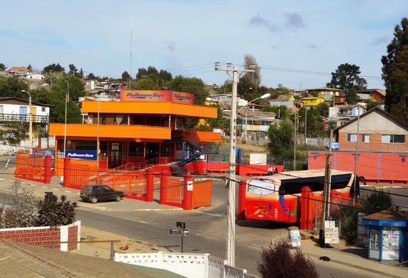 فندق Hostal El Gallego 3