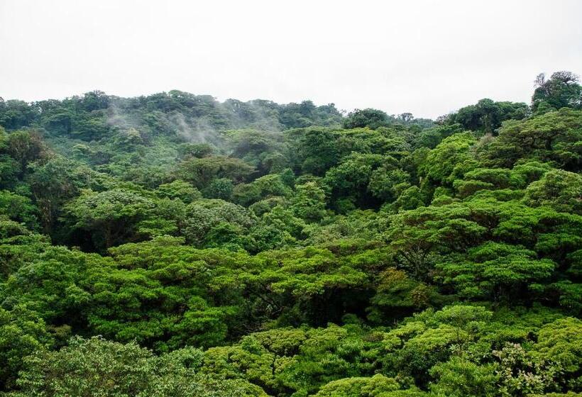 ホテル Jaguarundi Jungle Lodge   Monteverde