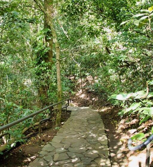 ホテル Jaguarundi Jungle Lodge   Monteverde