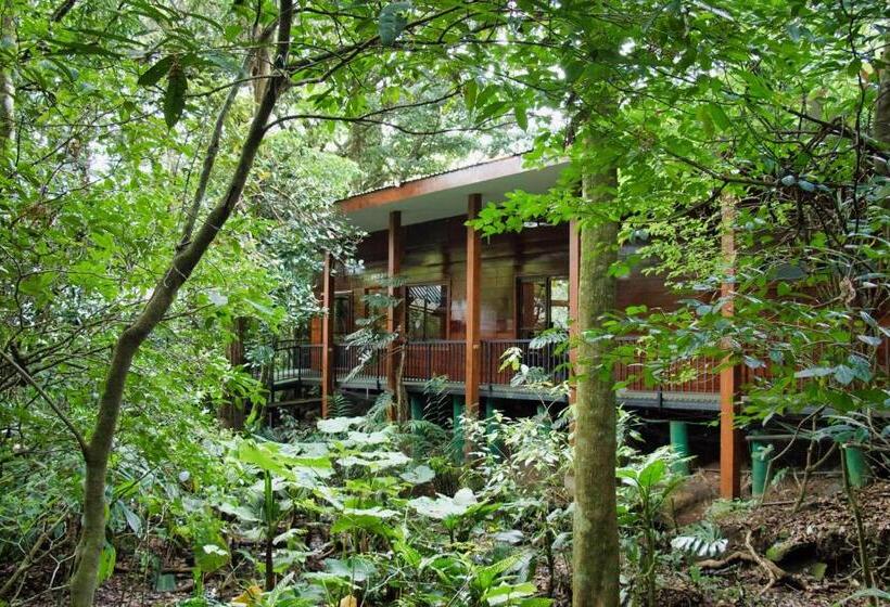ホテル Jaguarundi Jungle Lodge   Monteverde