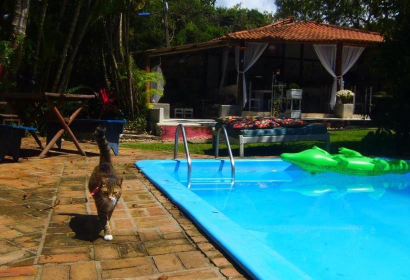 ホテル Pousada Jardim Da Praia