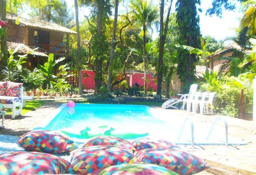 ホテル Pousada Jardim Da Praia