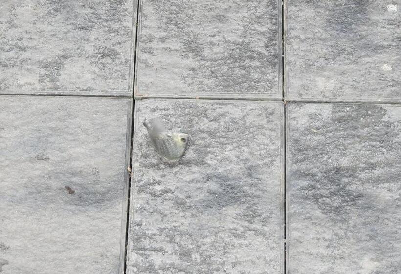 Отель Lago Leisure Resort & Spa