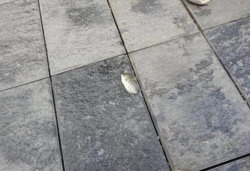 Отель Lago Leisure Resort & Spa