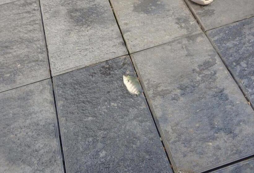 Отель Lago Leisure Resort & Spa