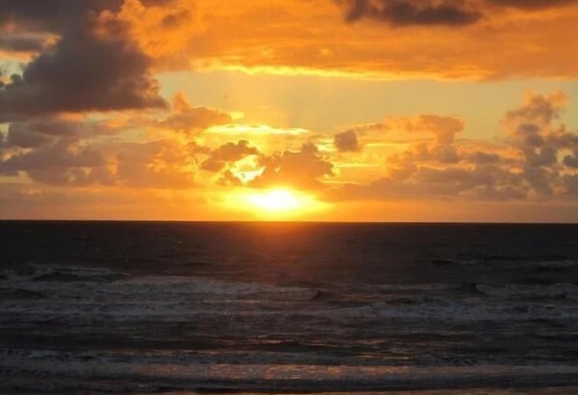 Palm Beach Hotel By The Sea