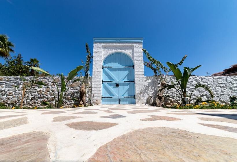 Отель Louise In Konağı