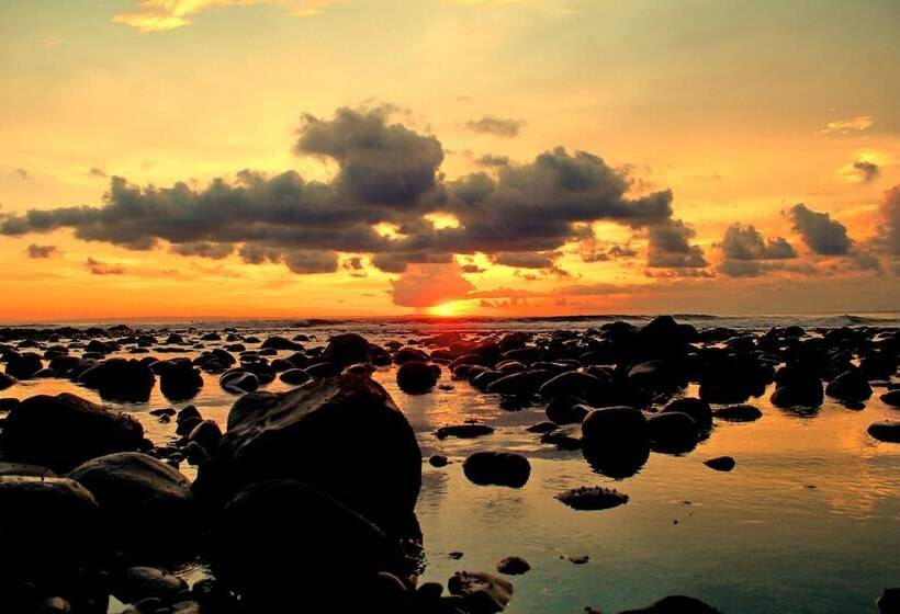 בית מלון כפרי The Point Surfcamp Bali