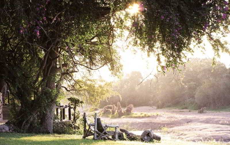 Hotel Motswari Private Game Reserve By Newmark