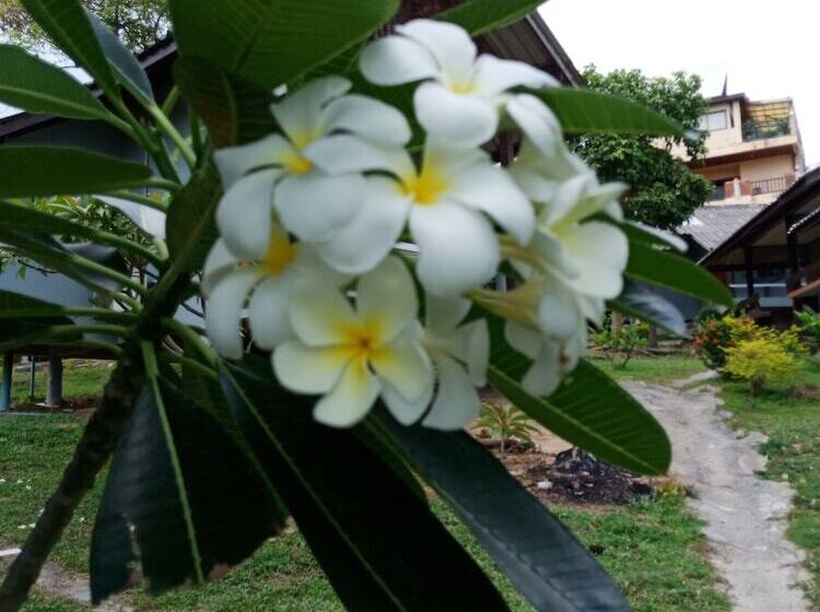 Отель Phupha Bungalow Haad Rin