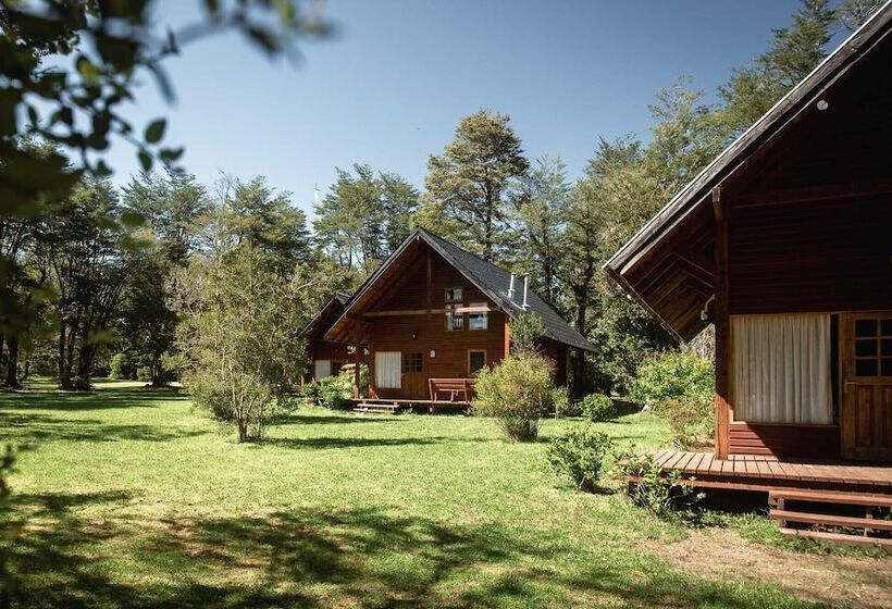 Hotel Posada Del Río   Parque Metreñehue