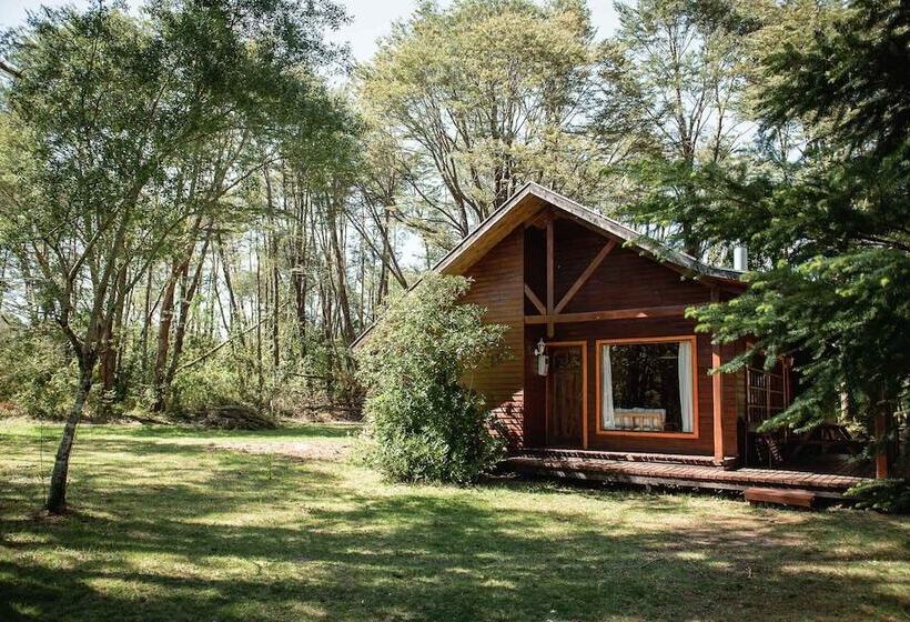 Hotel Posada Del Río   Parque Metreñehue