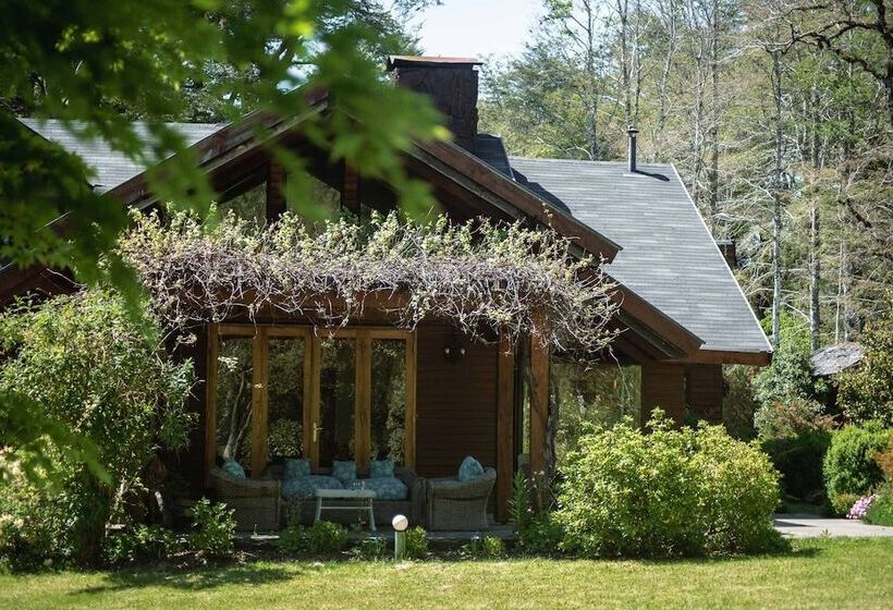 Hotel Posada Del Río   Parque Metreñehue