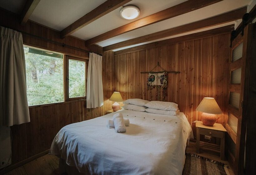 Hotel Posada Del Río   Parque Metreñehue