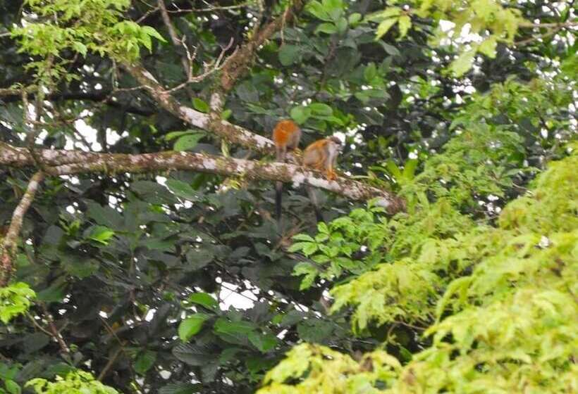 ホテル Rancho Las Tilapias