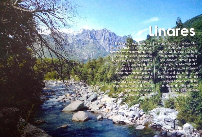 فندق Residencial Del Maule