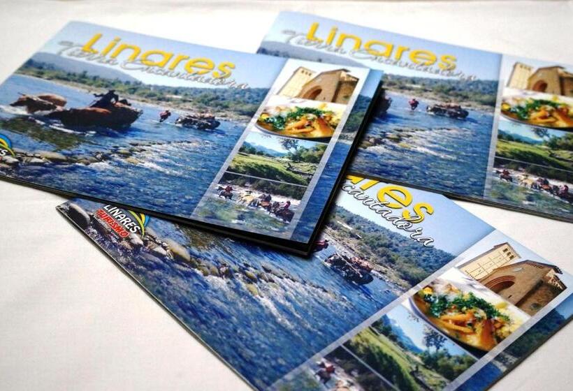 فندق Residencial Del Maule