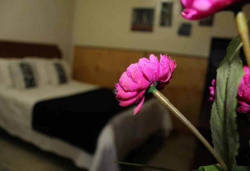 בית מלון כפרי Residencial Del Maule