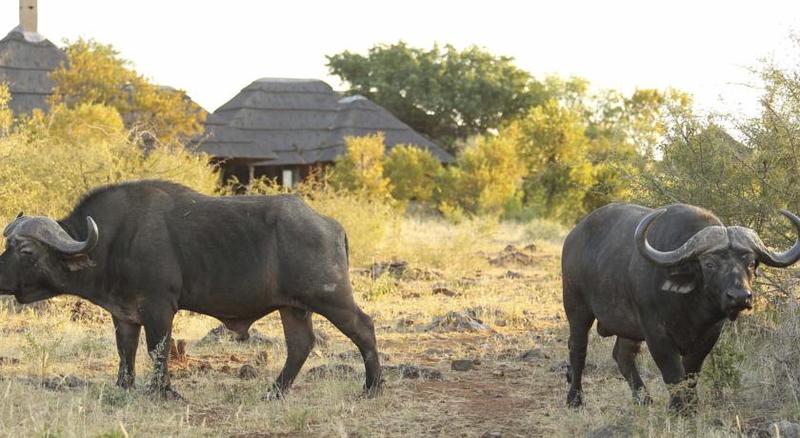 Отель Rhulani Safari Lodge