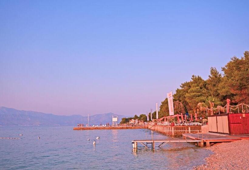 בית מלון כפרי Guest House Sunce, Traveler S Choice Best Panoramic View, Supetar Island Brac