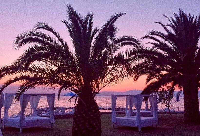 בית מלון כפרי Guest House Sunce, Traveler S Choice Best Panoramic View, Supetar Island Brac