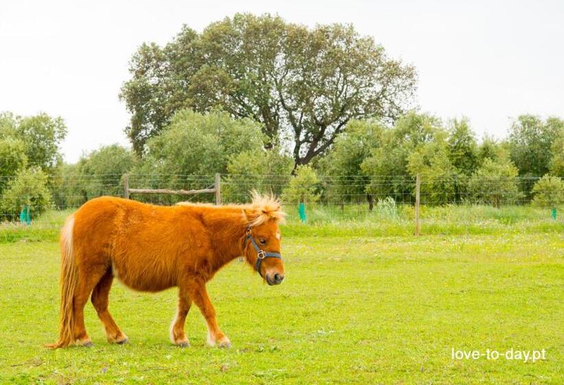 هتل روستایی Monte Chalaça   Turismo Rural