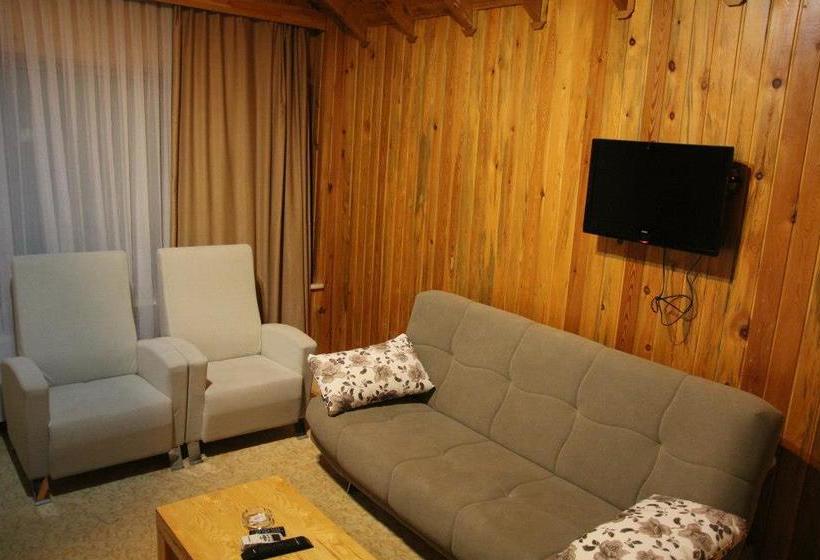 ホテル Saray Gold