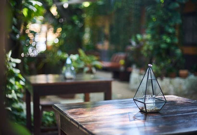 هتل Secret Garden Tulum