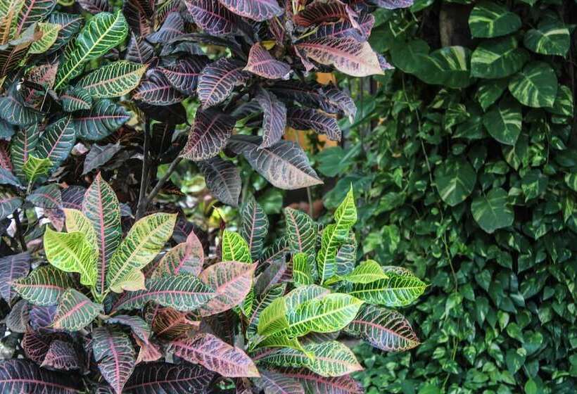 هتل Secret Garden Tulum