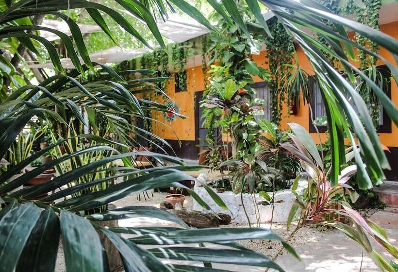 هتل Secret Garden Tulum