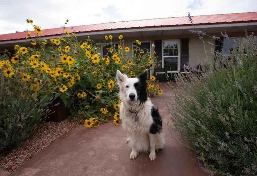 Отель The Flagstone Boutique Inn & Suites