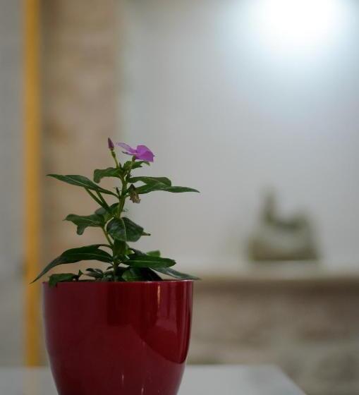 ホテル Villa Kudelik Stone Story