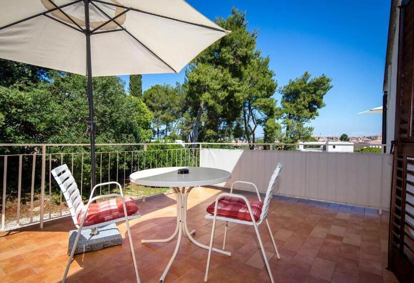 호텔 Villa Matohanca