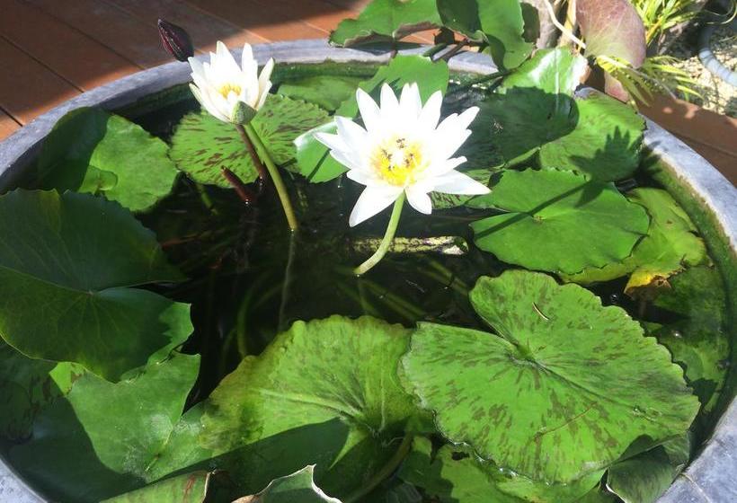 Mama Beach Residence Adults Only