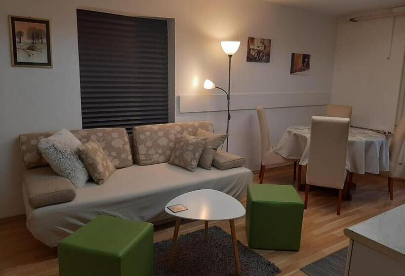 ペンション Apartment & Rooms Miboti