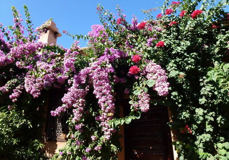 پانسیون Chez Momo Ii