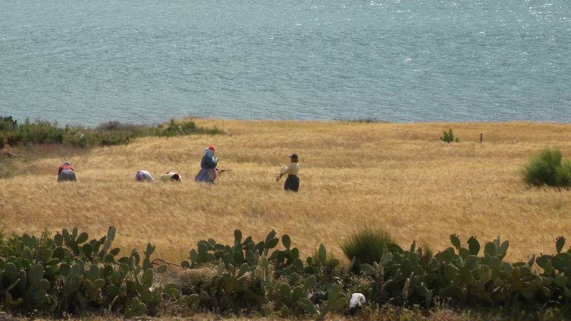 پانسیون Chez Momo Ii