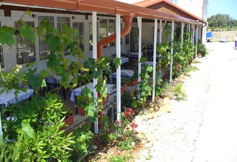 ペンション Pansion Comfort Sidro