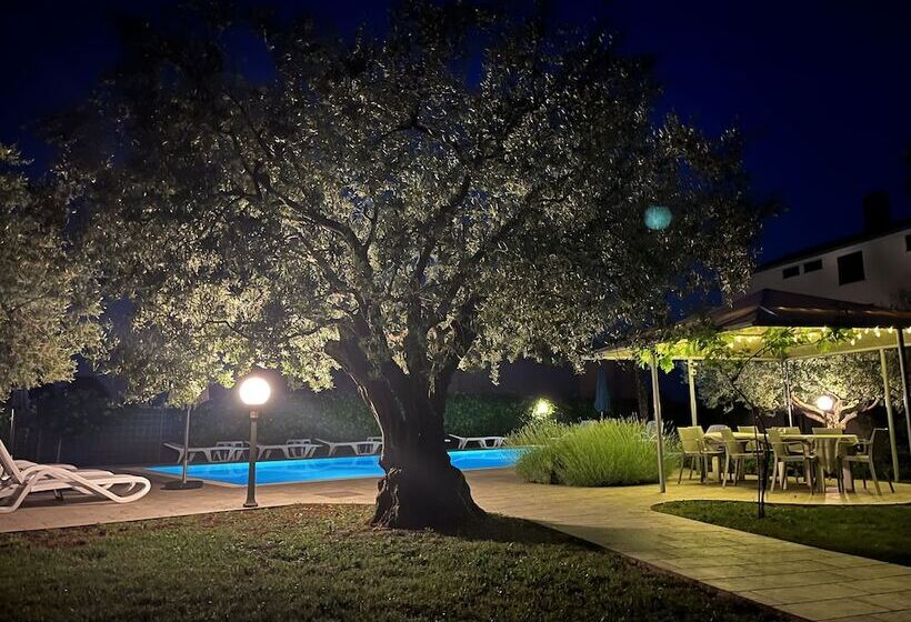 פנסיון Rooms Margerita