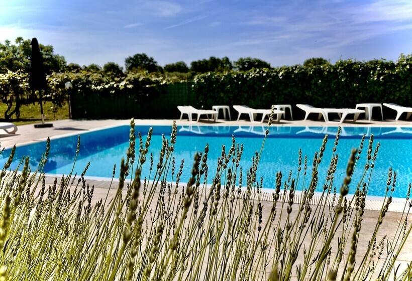 פנסיון Rooms Margerita