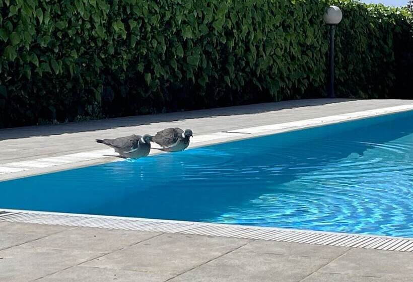 פנסיון Rooms Margerita