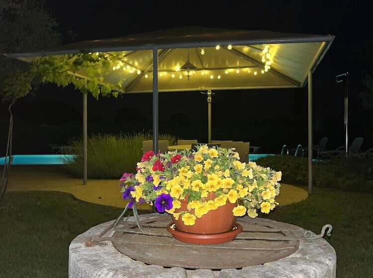 פנסיון Rooms Margerita