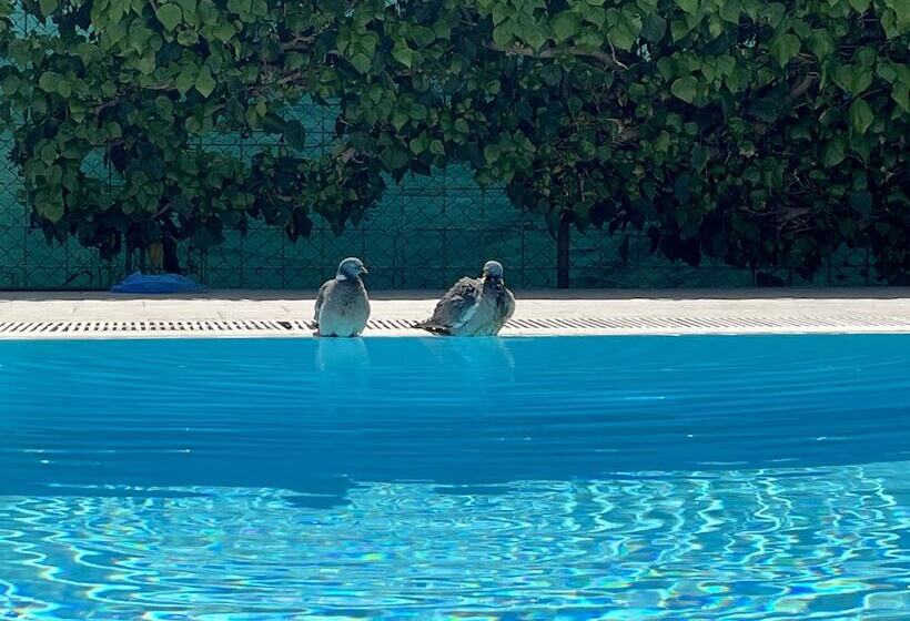 פנסיון Rooms Margerita