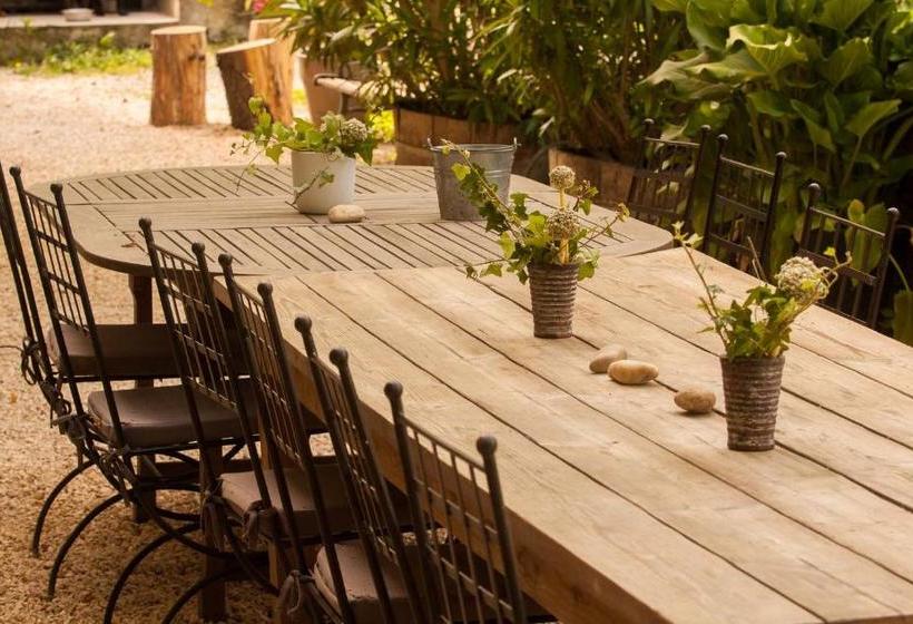 פנסיון Villa Des Figuiers