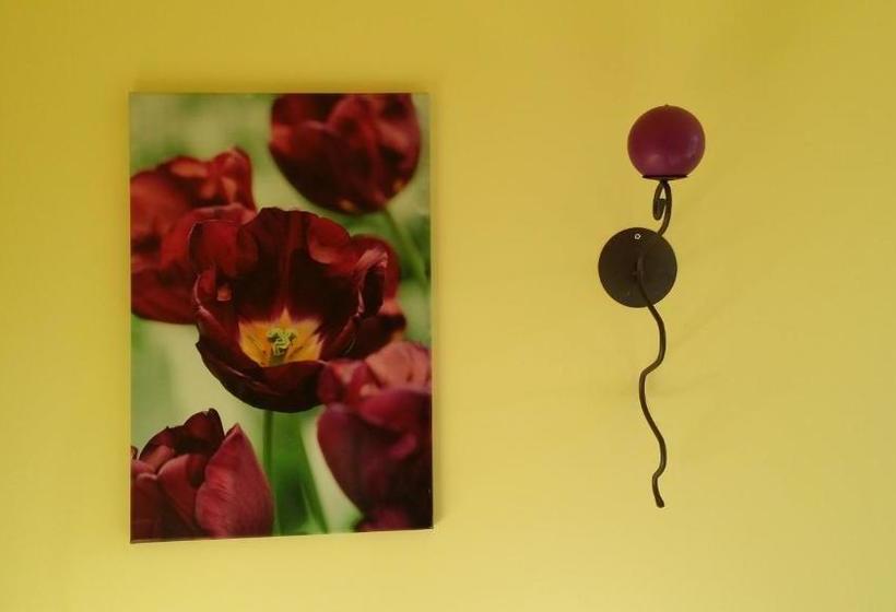 פנסיון Villa Des Figuiers