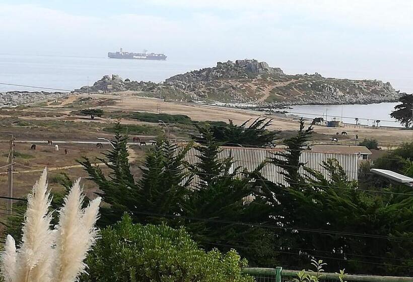 منتجع Cabañas Barrachina, Punta De Tralca